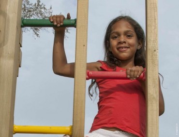 Jungle Gym 1Step Ladder